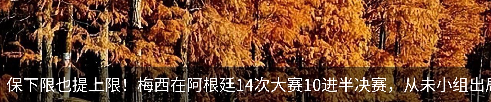 内页banner